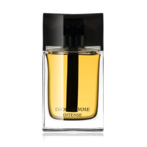 Louis Vuitton Afternoon Swim Eau de Parfum 100 ml – Dreamy Fragrance